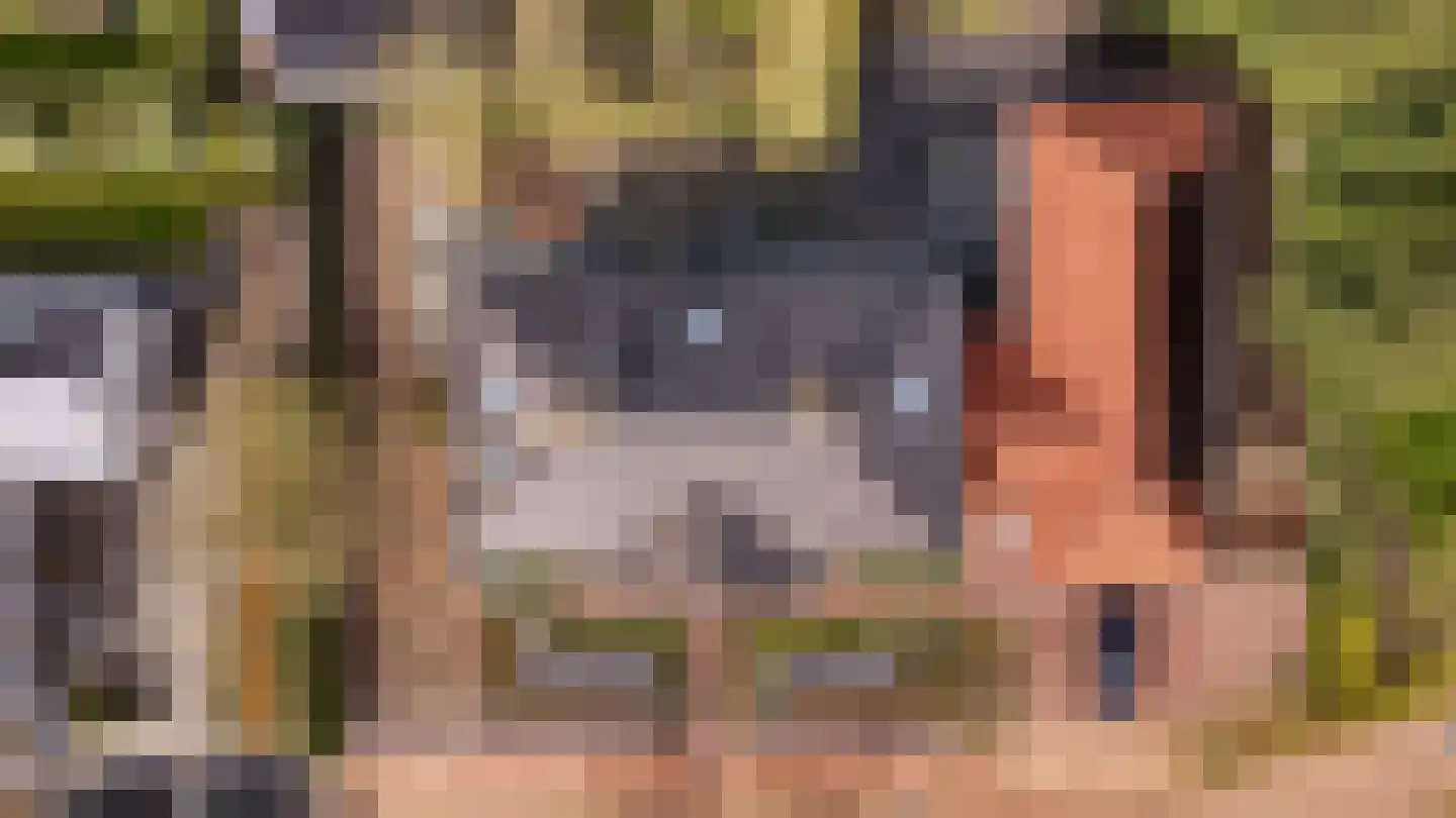 Steenhof 4 Bavel thumbnail 36