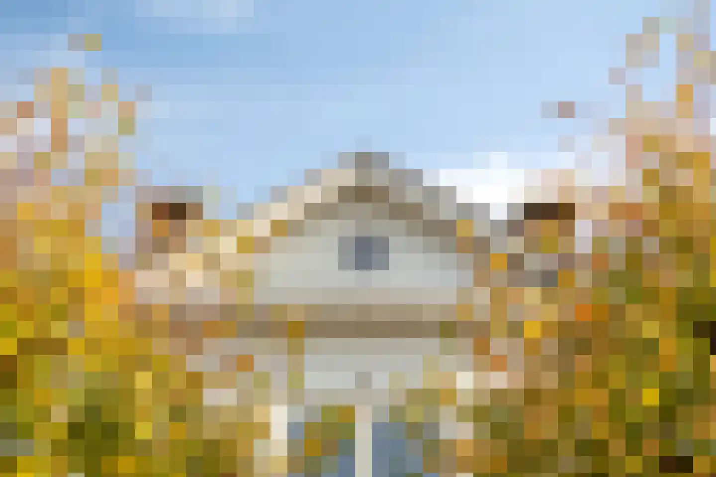 Steenhof 4 Bavel thumbnail 6