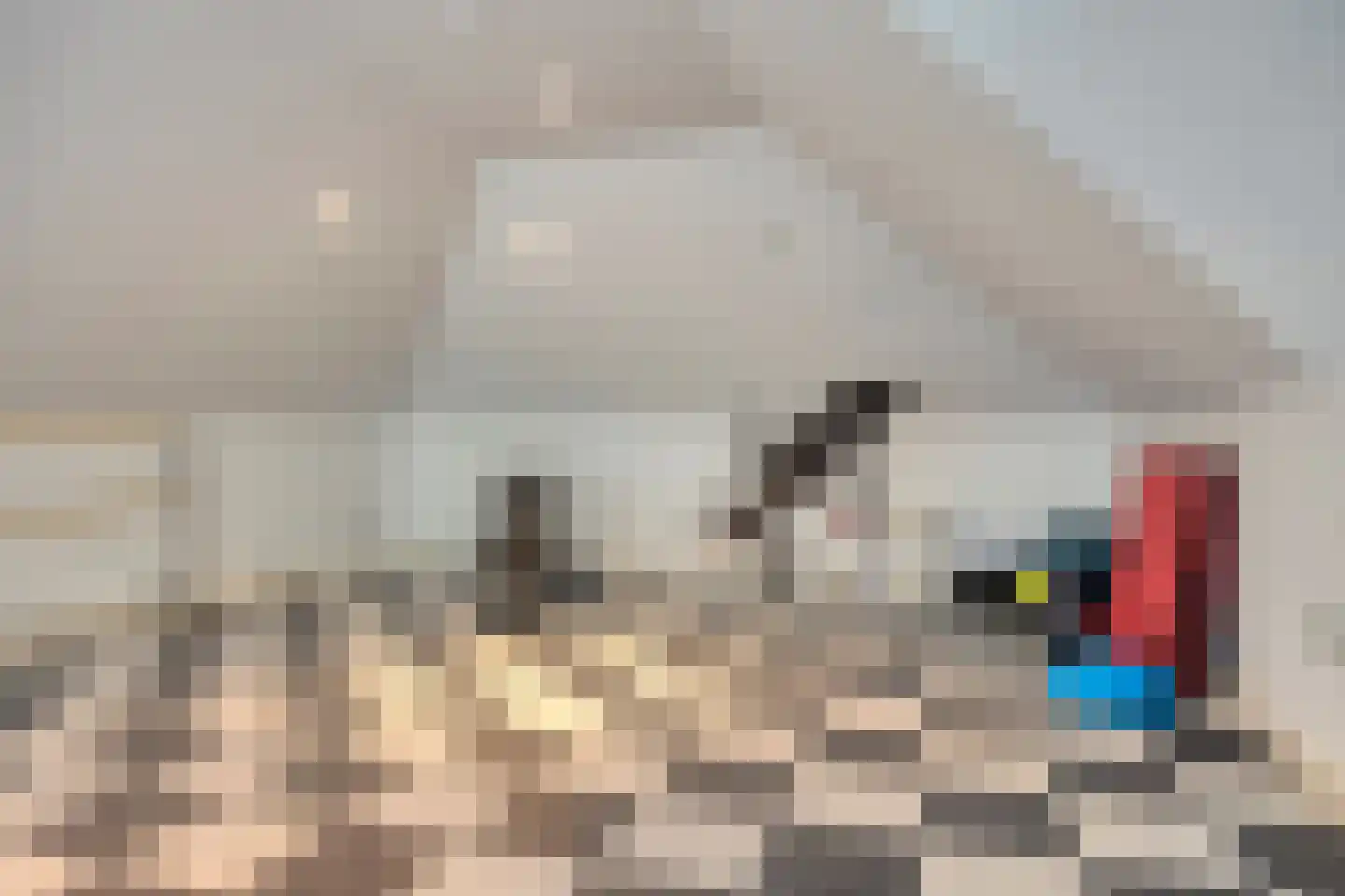 Steenhof 4 Bavel thumbnail 62