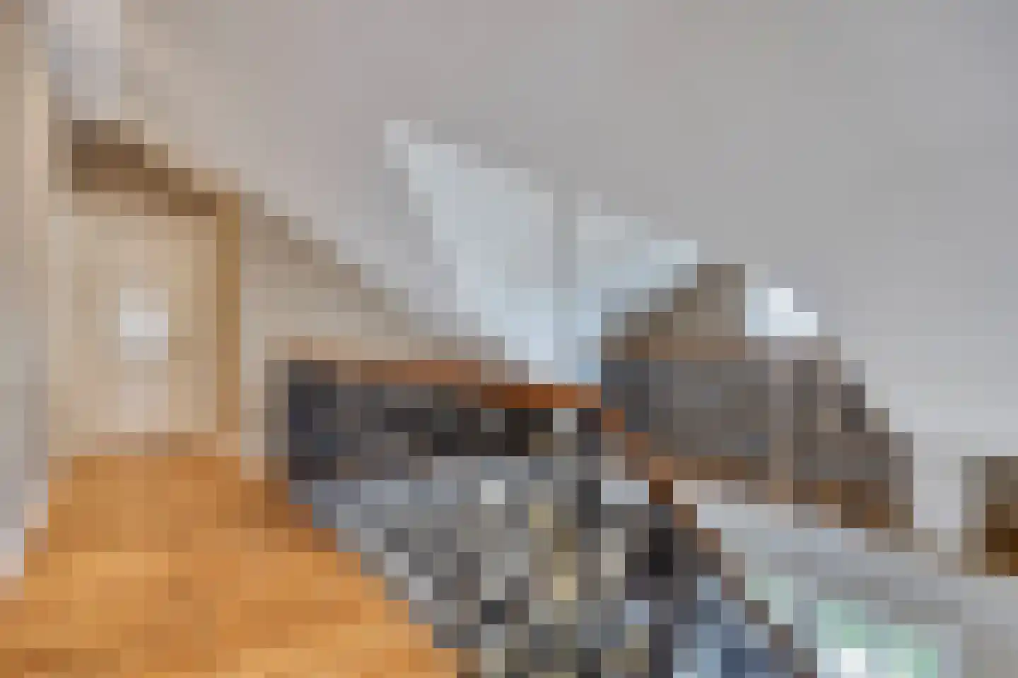 Steenhof 4 Bavel thumbnail 65