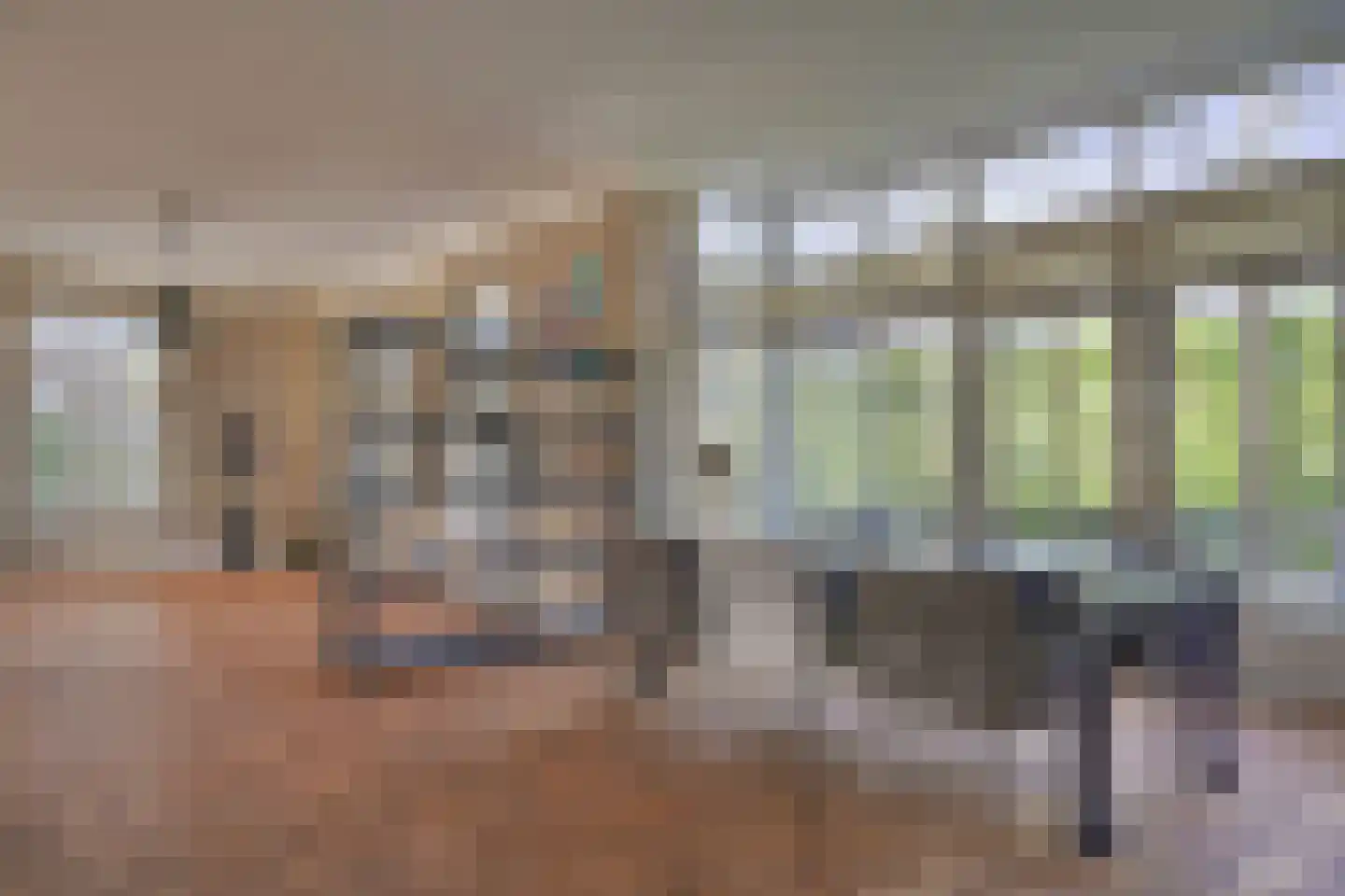 Steenhof 4 Bavel thumbnail 7