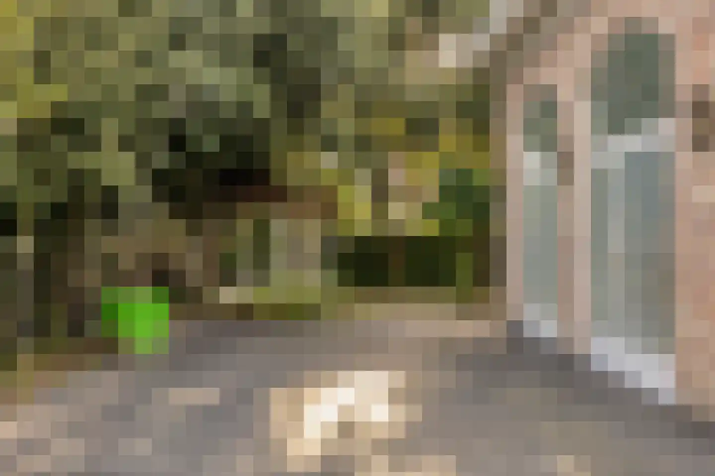Steenhof 4 Bavel thumbnail 79