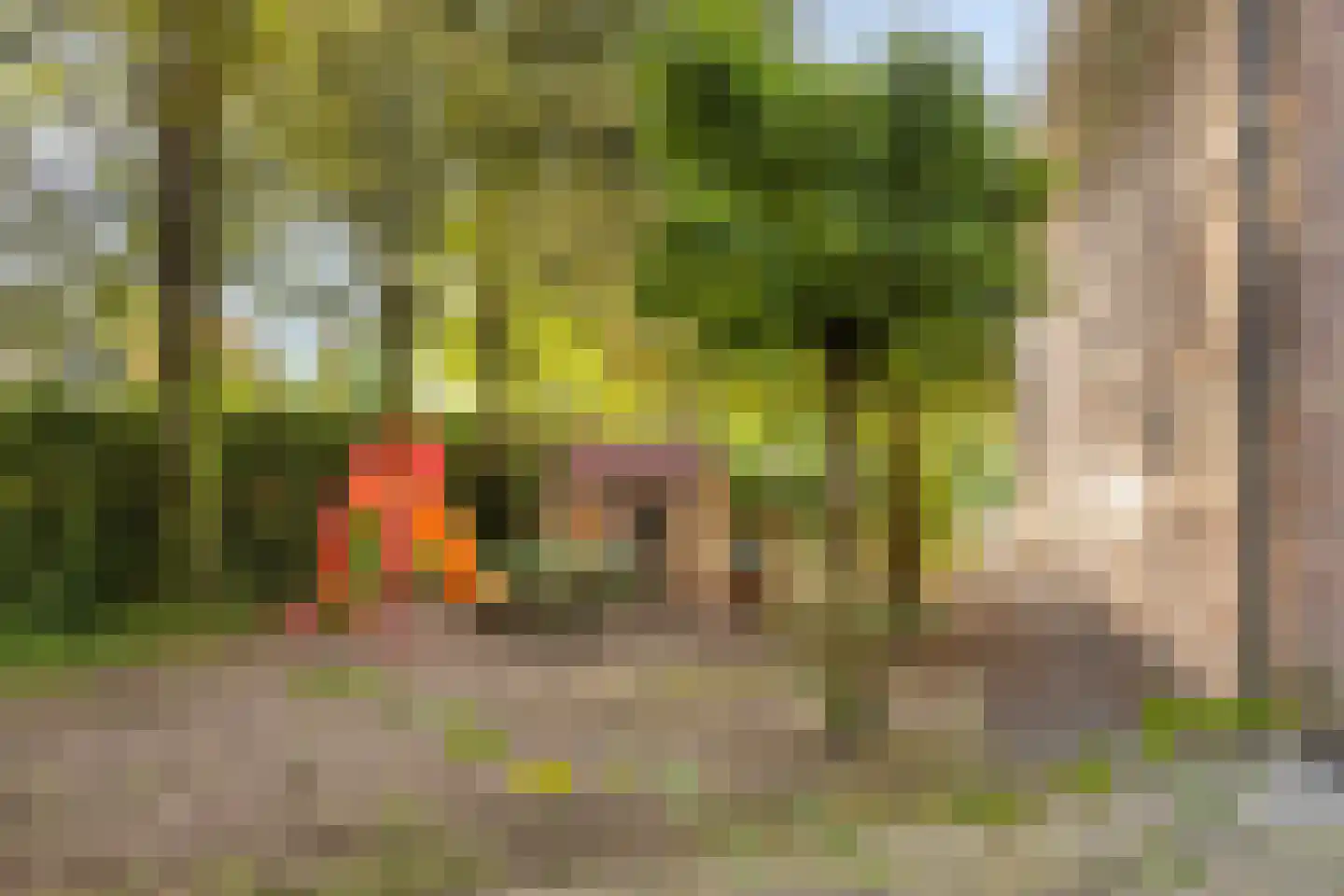 Steenhof 4 Bavel thumbnail 80