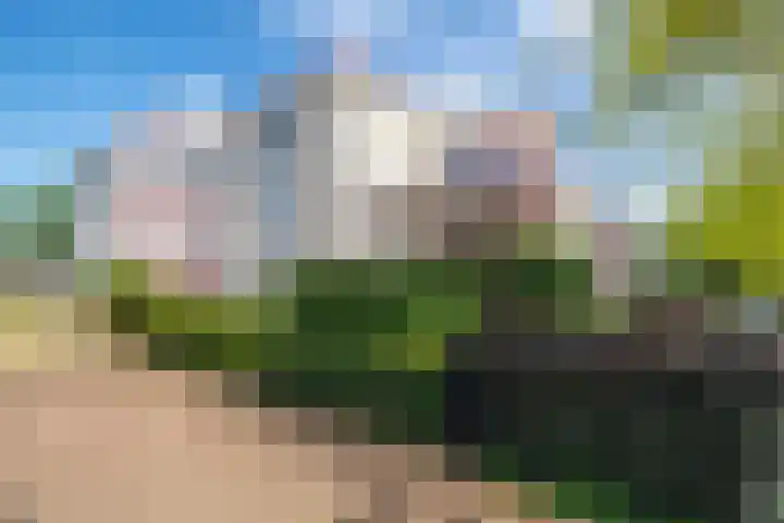 Steenhoffstraat 30 11 Soest thumbnail 23