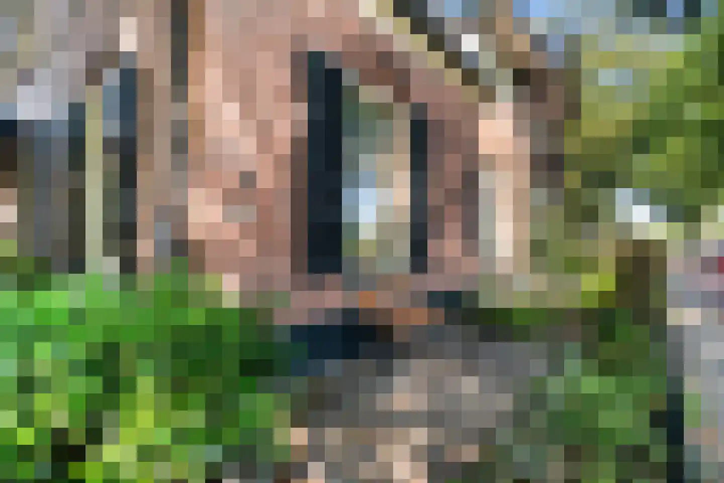 Steenhoffstraat 52 Soest thumbnail 4