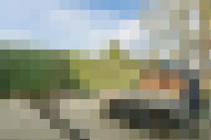 Steenhoffstraat 7 Soest thumbnail 46