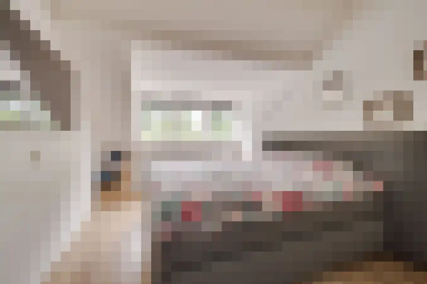 Steenhouwersdonk 111 Apeldoorn thumbnail 17