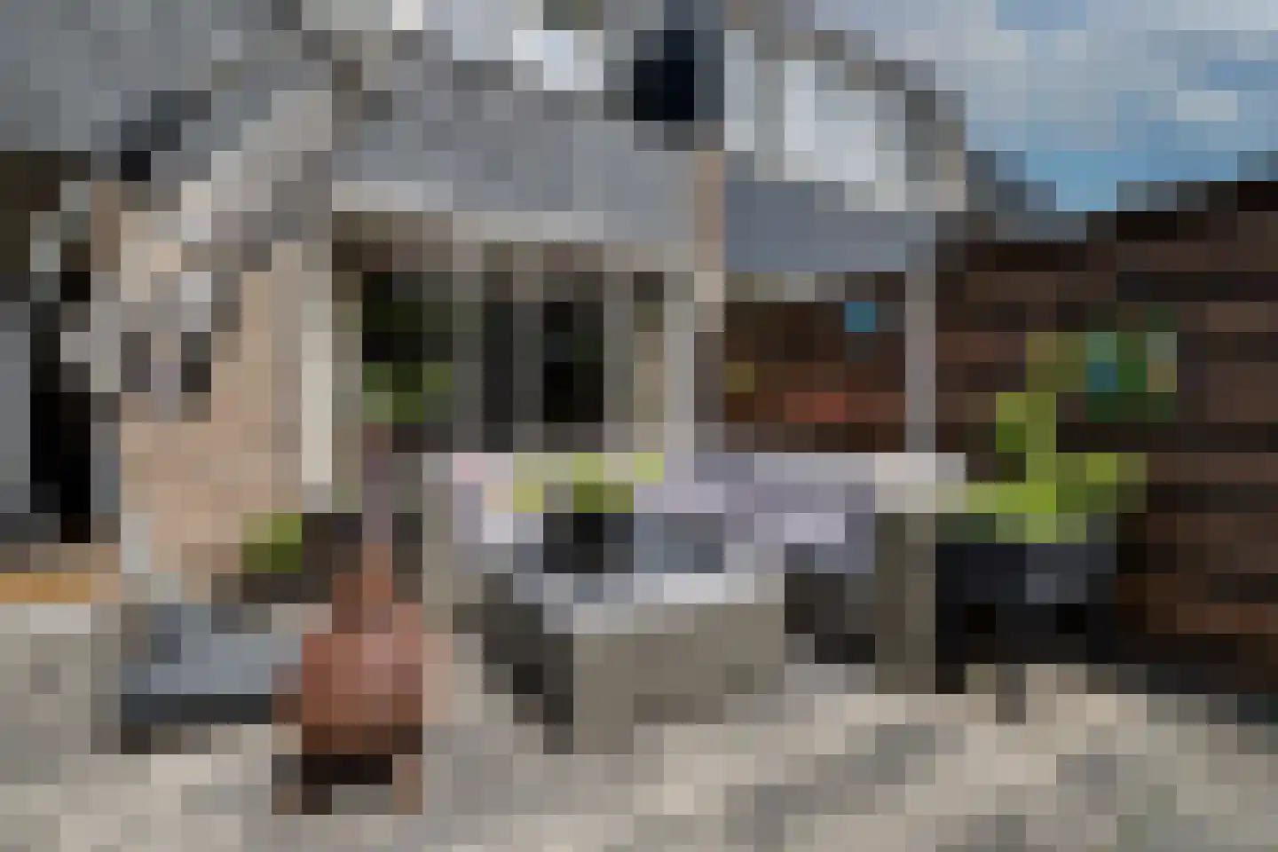 Steenhouwersdonk 111 Apeldoorn thumbnail 32