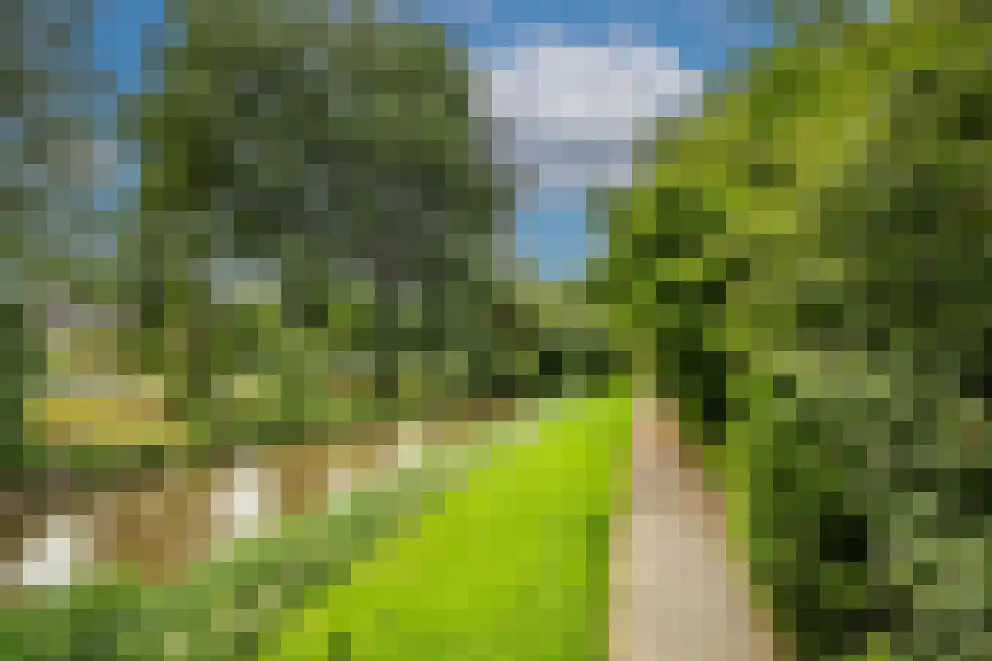 Steenhouwersdonk 111 Apeldoorn thumbnail 36