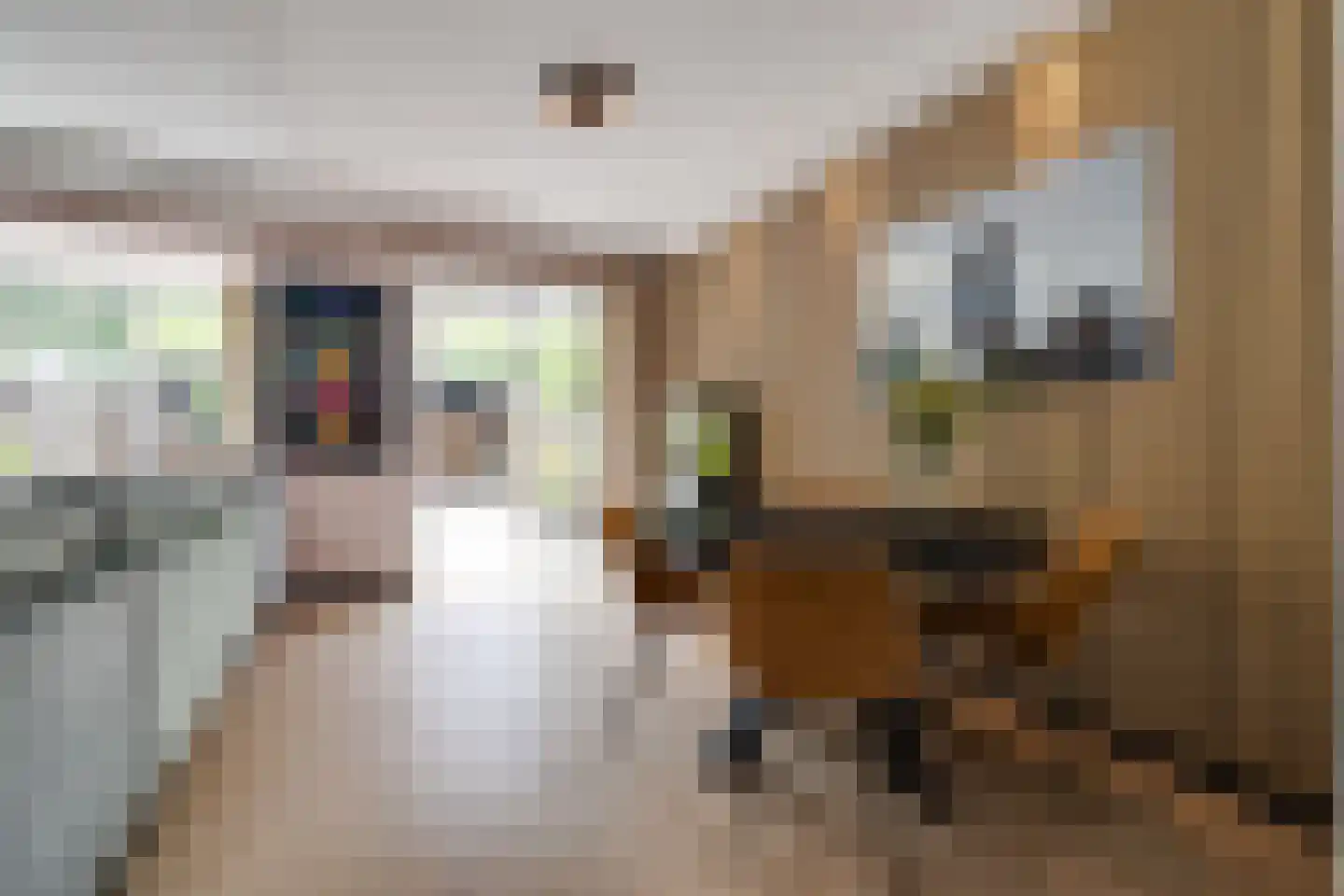Steenhouwersdonk 111 Apeldoorn thumbnail 6