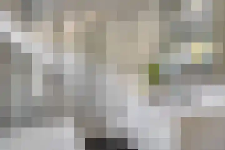 Steenhouwersdonk 112 Apeldoorn thumbnail 10