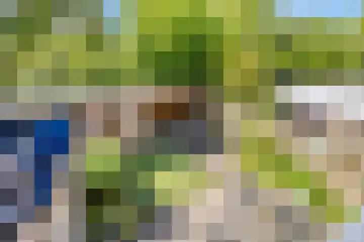 Steenhouwersdonk 112 Apeldoorn thumbnail 18