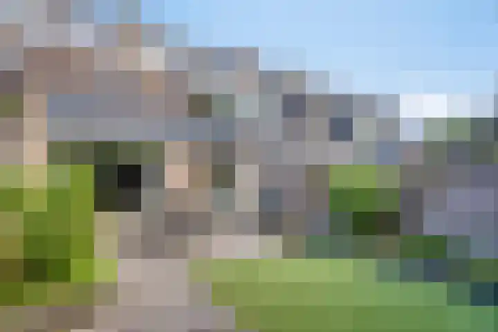 Steenhouwersdonk 112 Apeldoorn thumbnail 19
