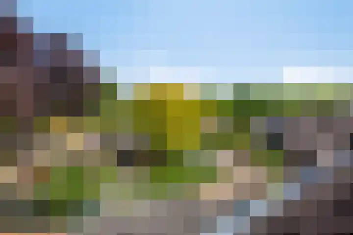 Steenhouwersdonk 112 Apeldoorn thumbnail 22