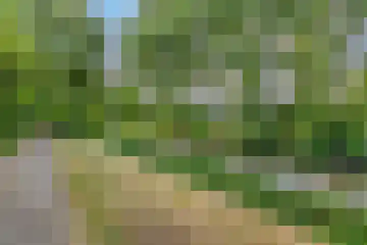 Steenhouwersdonk 112 Apeldoorn thumbnail 23