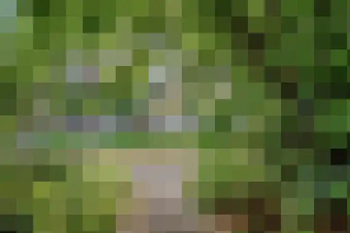 Steenhouwersdonk 112 Apeldoorn thumbnail 24