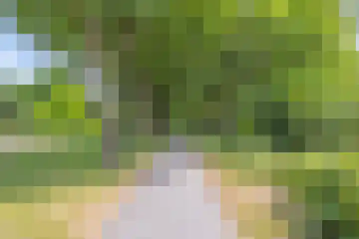 Steenhouwersdonk 112 Apeldoorn thumbnail 26