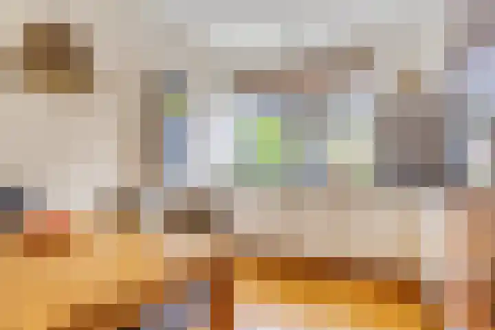 Steenhouwersdonk 112 Apeldoorn thumbnail 4