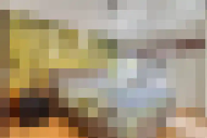Steenhouwersdonk 112 Apeldoorn thumbnail 5
