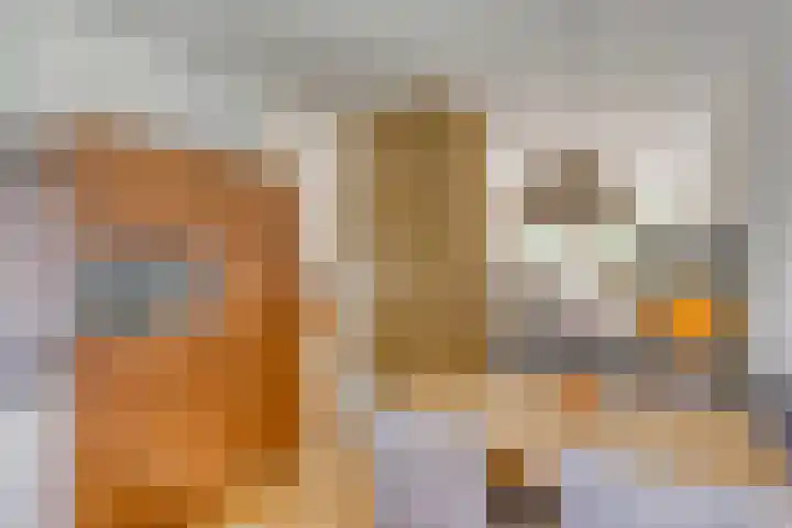 Steenhouwersdonk 112 Apeldoorn thumbnail 9