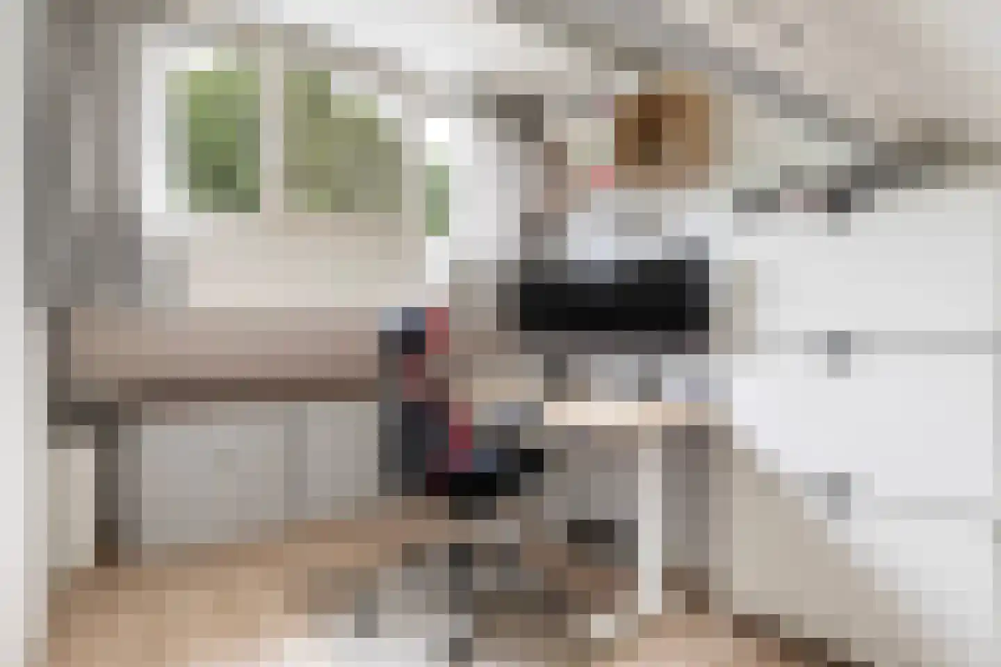 Steenhouwersdonk 114 Apeldoorn thumbnail 27