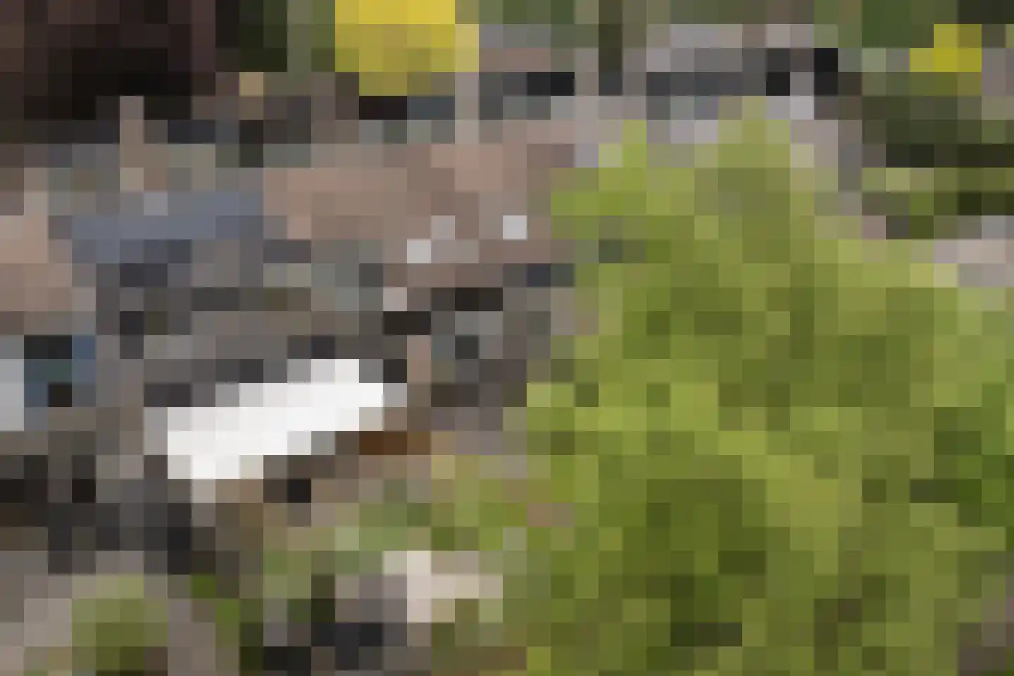 Steenhouwersdonk 114 Apeldoorn thumbnail 32