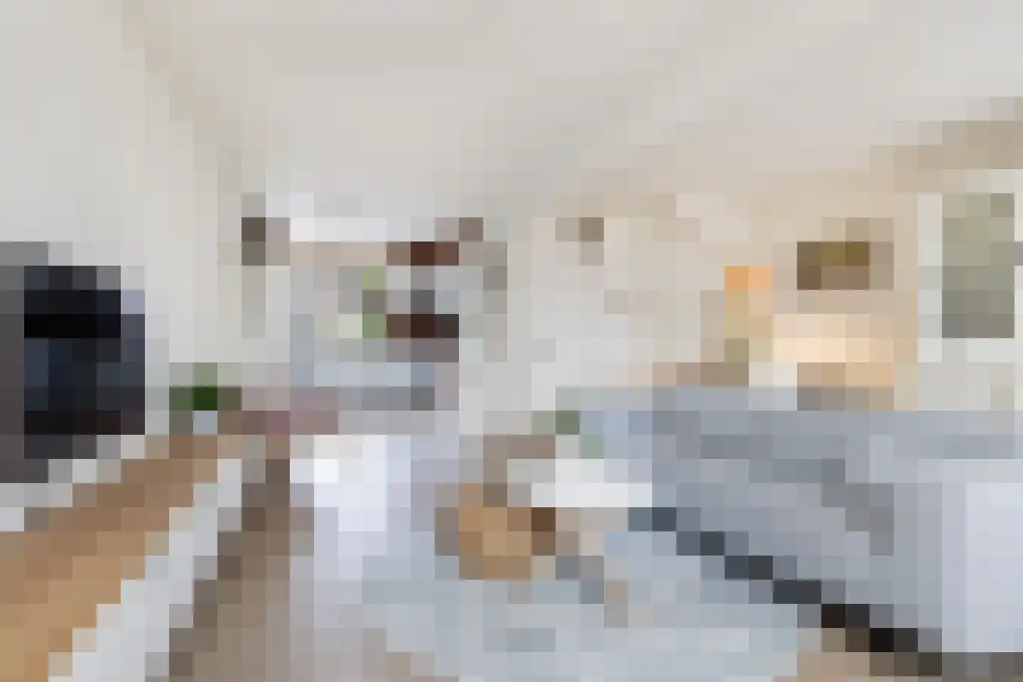 Steenhouwersdonk 114 Apeldoorn thumbnail 5