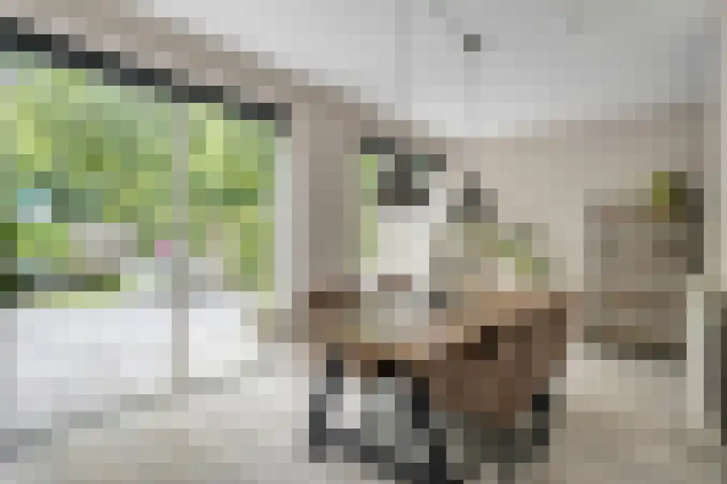 Steenhouwersdonk 123 Apeldoorn thumbnail 11