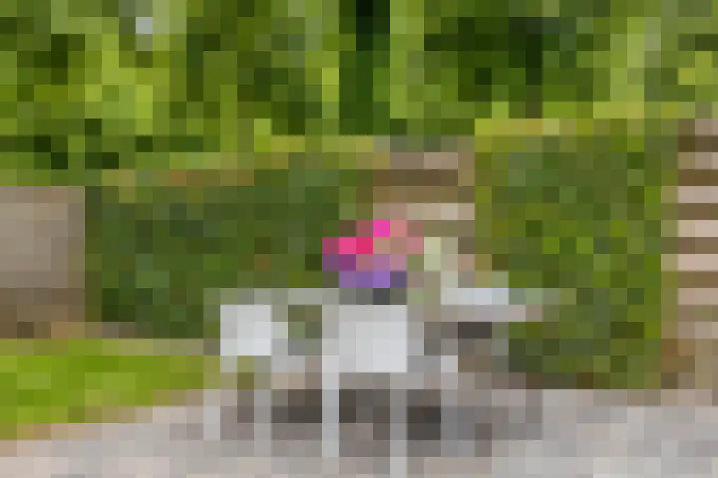 Steenhouwersdonk 123 Apeldoorn thumbnail 32