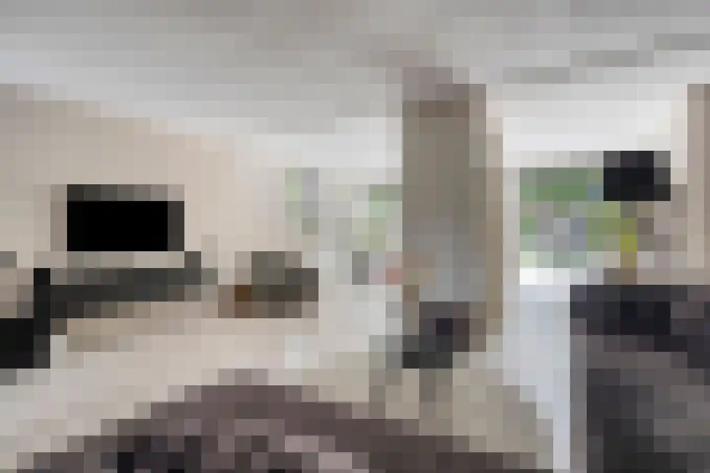 Steenhouwersdonk 123 Apeldoorn thumbnail 9