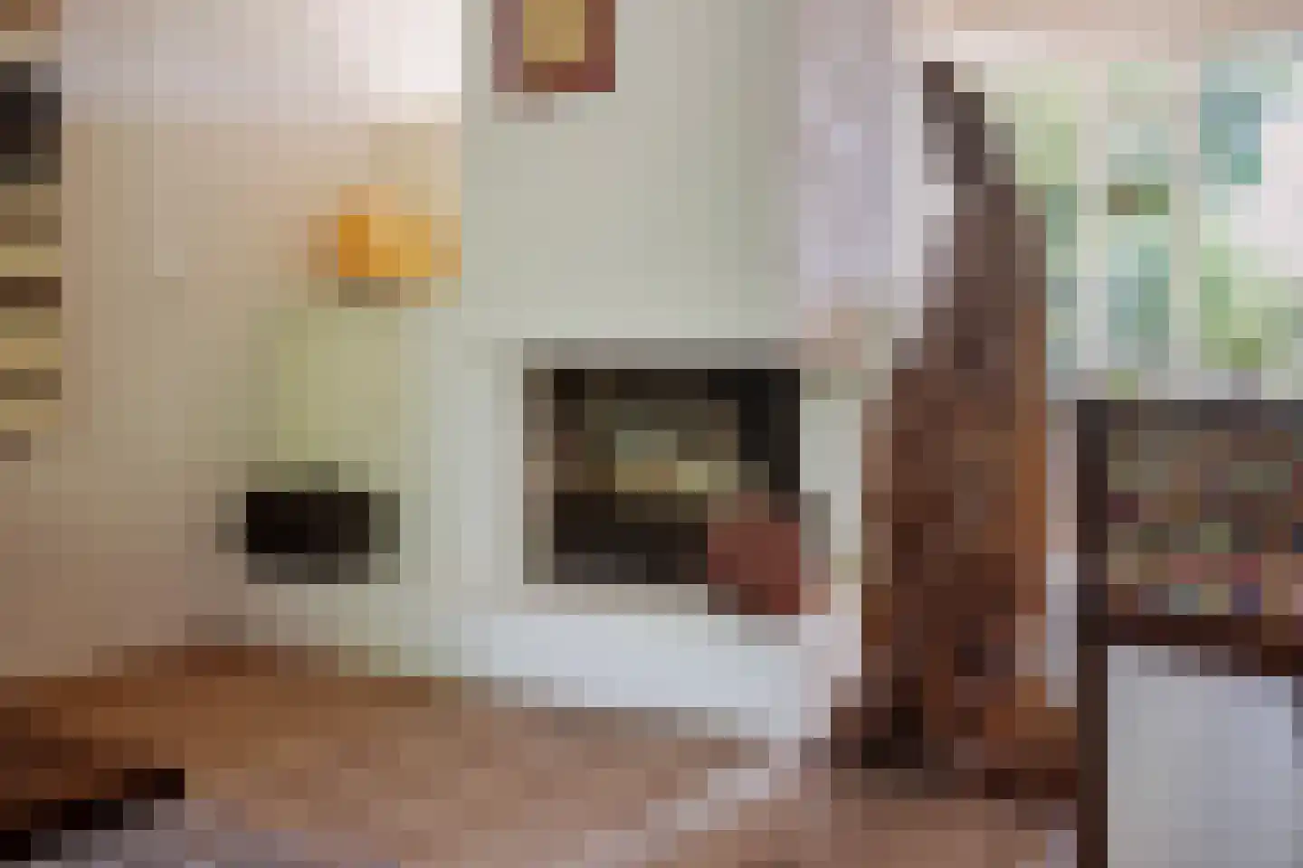 Steenhouwersdonk 132 Apeldoorn thumbnail 12