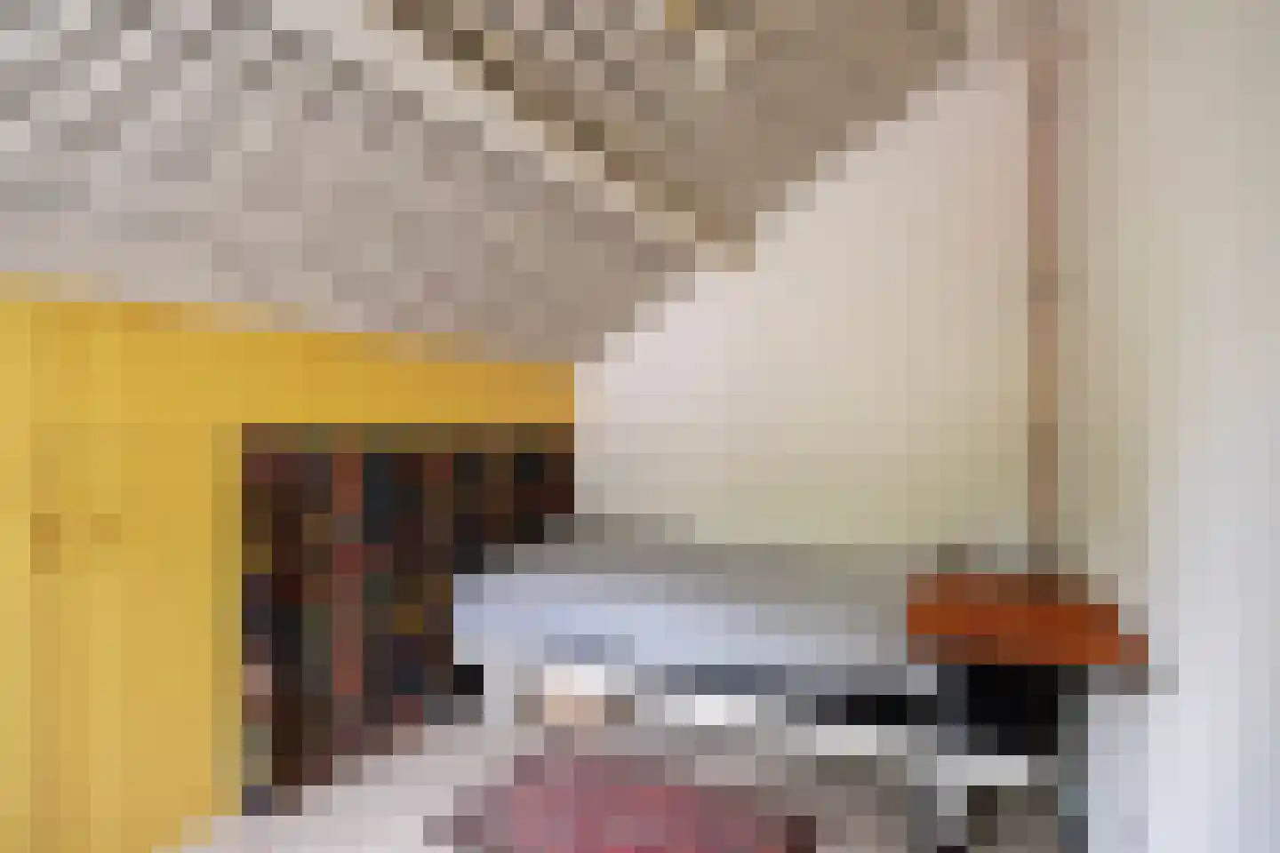 Steenhouwersdonk 132 Apeldoorn thumbnail 24
