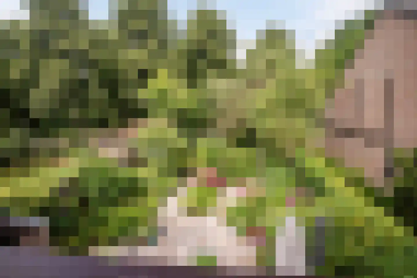 Steenhouwersdonk 132 Apeldoorn thumbnail 27