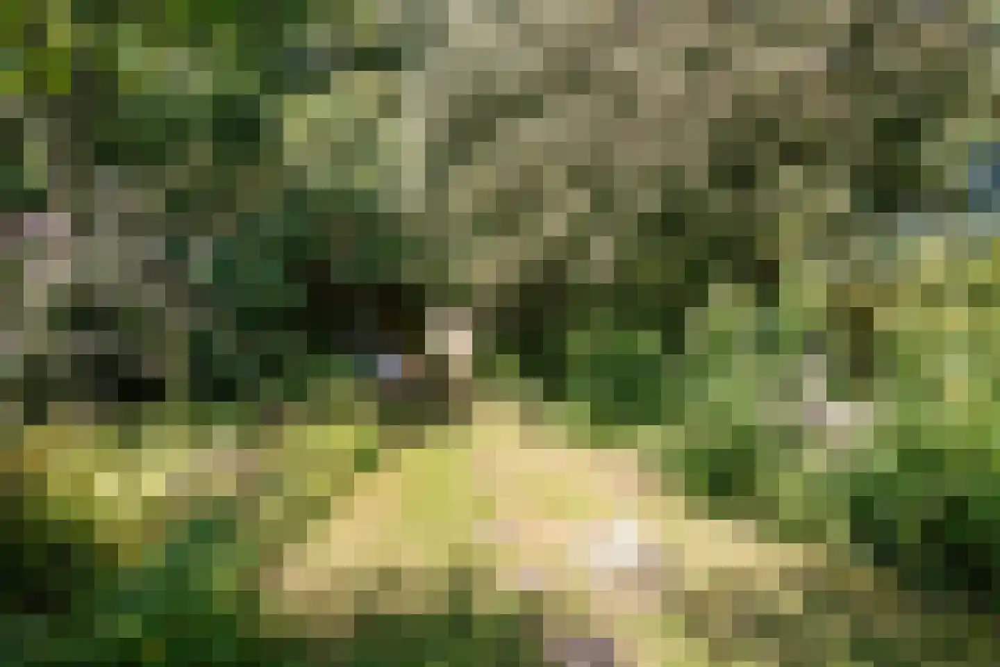 Steenhouwersdonk 132 Apeldoorn thumbnail 33