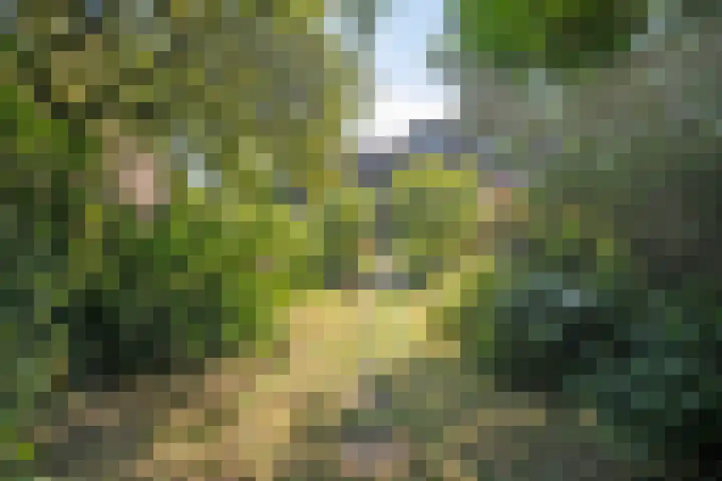 Steenhouwersdonk 132 Apeldoorn thumbnail 34