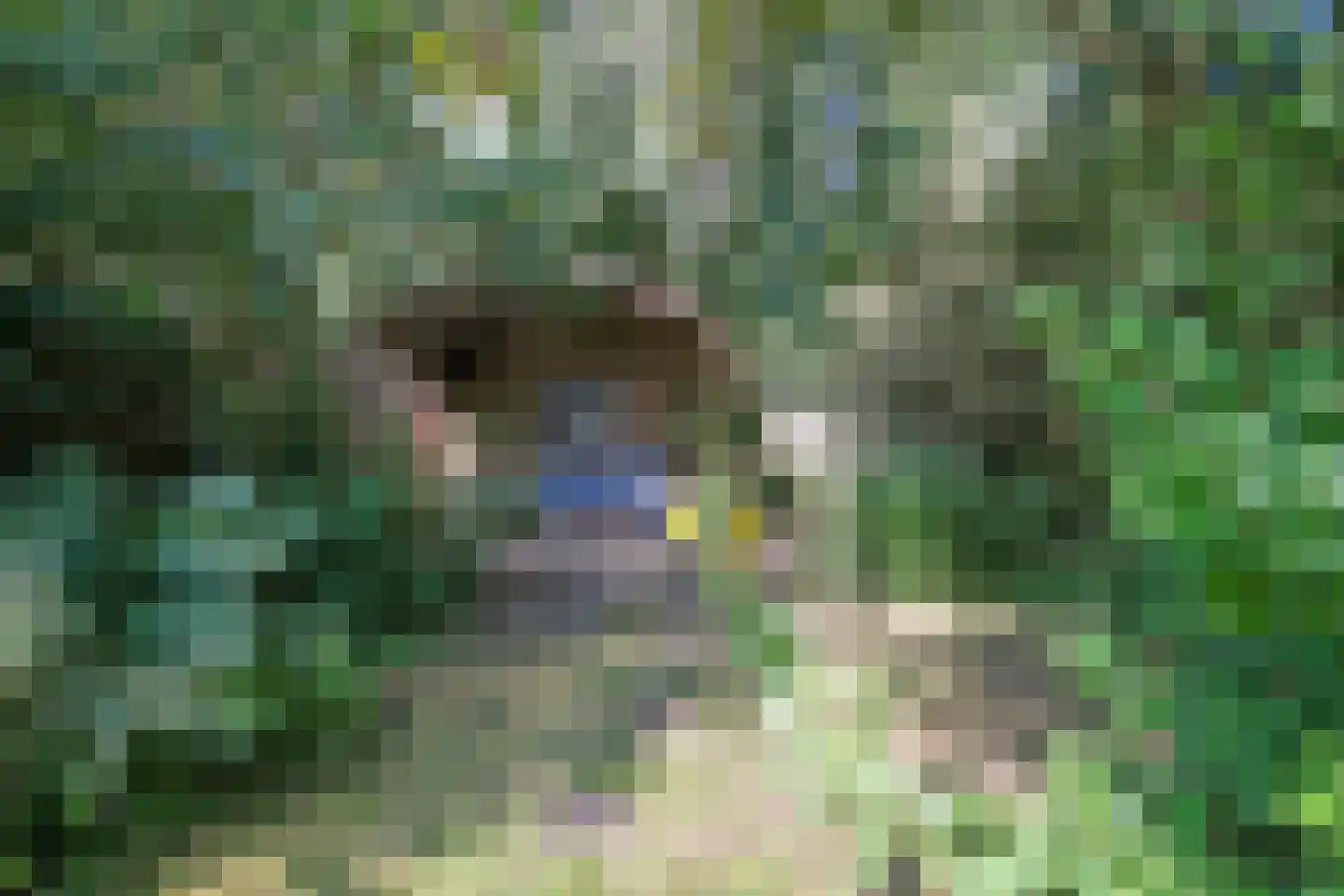 Steenhouwersdonk 132 Apeldoorn thumbnail 35