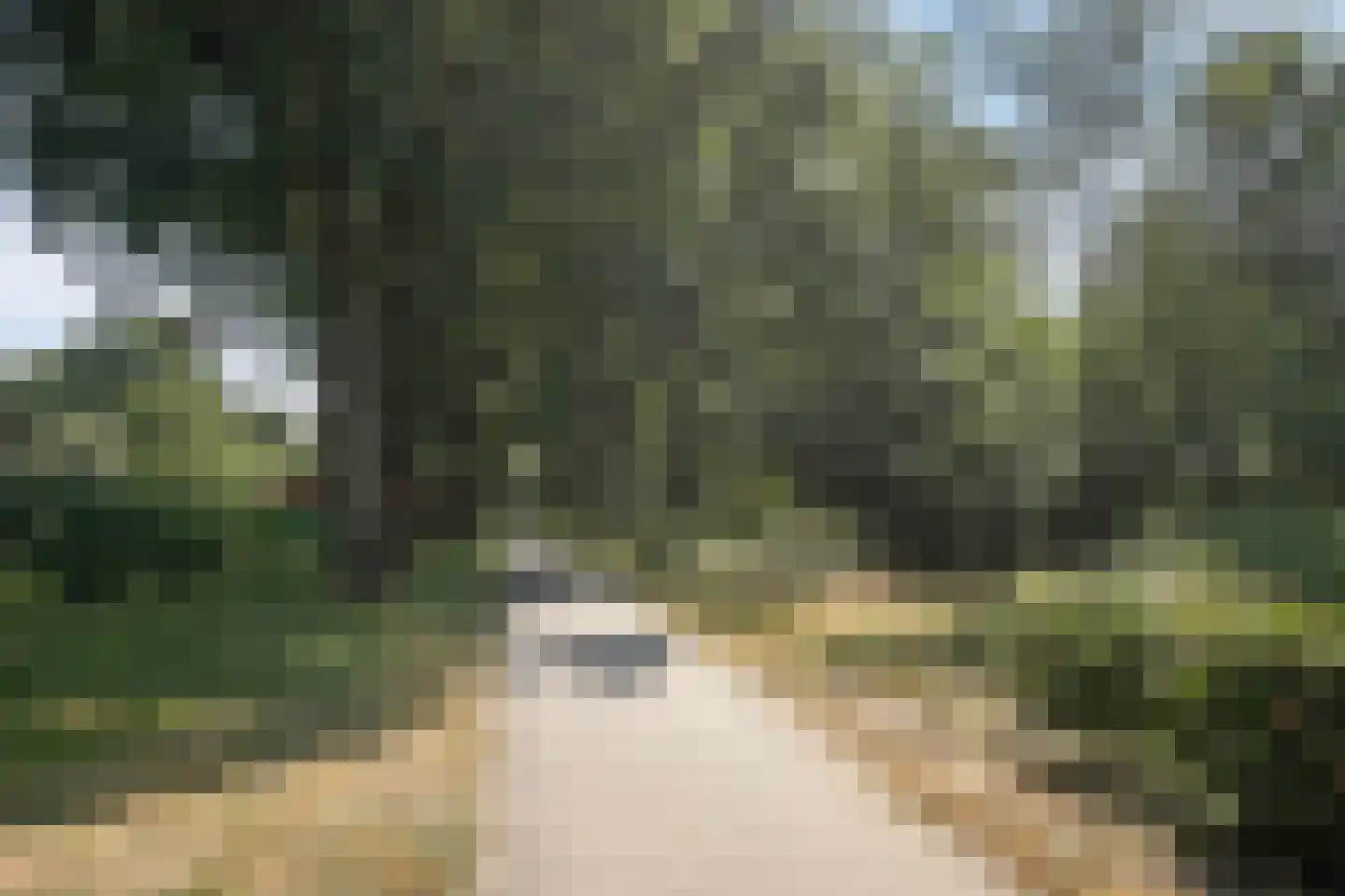 Steenhouwersdonk 132 Apeldoorn thumbnail 36