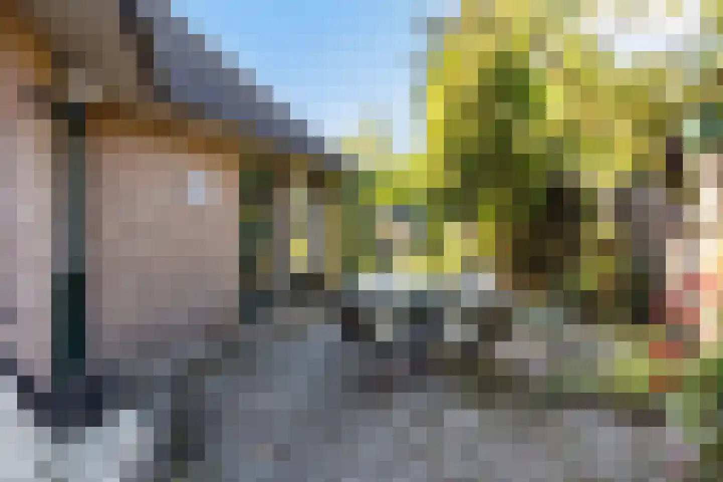 Steenhouwersdonk 137 Apeldoorn thumbnail 28