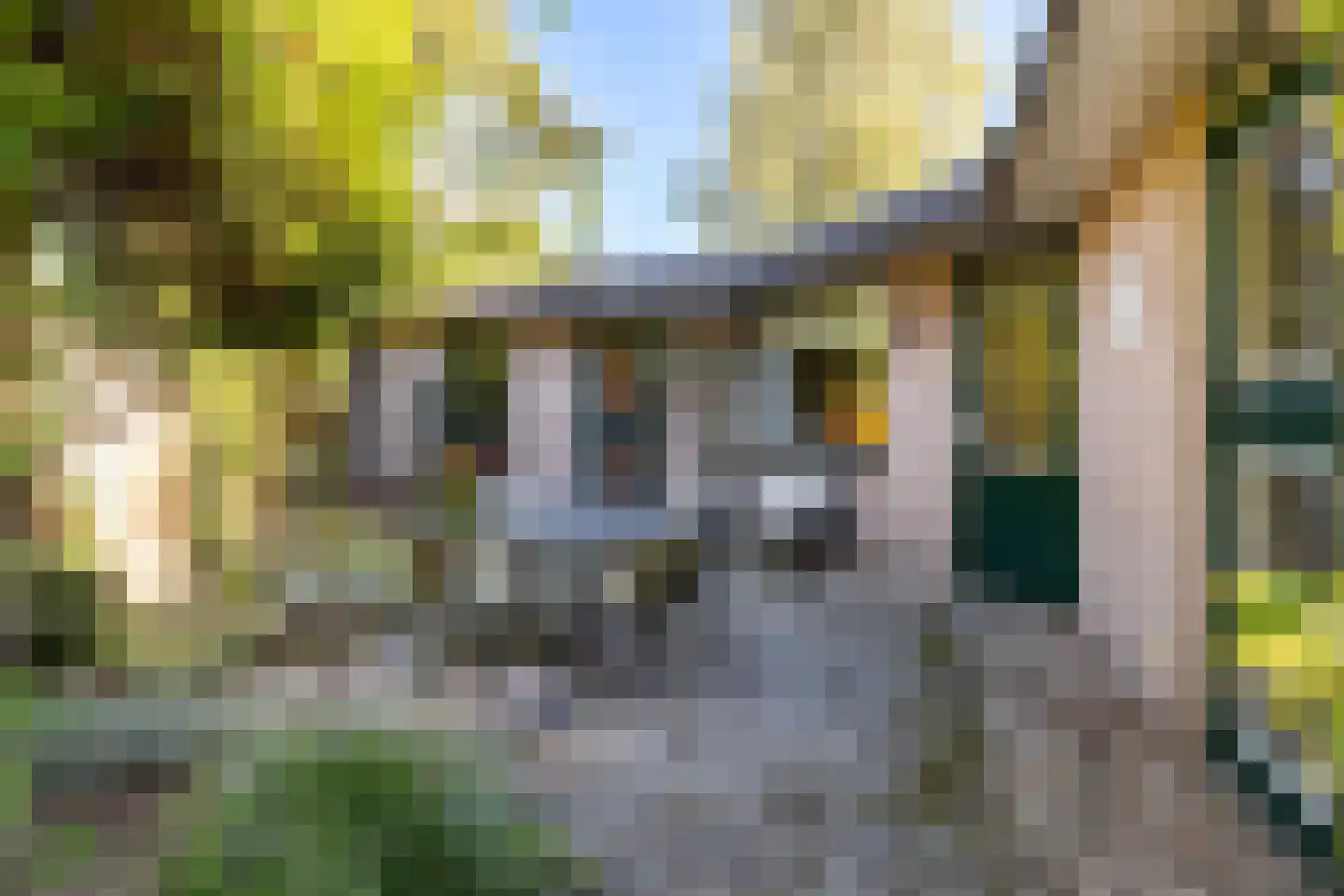 Steenhouwersdonk 137 Apeldoorn thumbnail 29