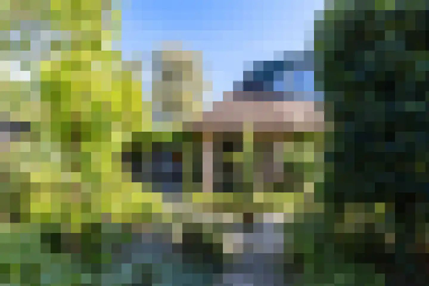 Steenhouwersdonk 137 Apeldoorn thumbnail 32