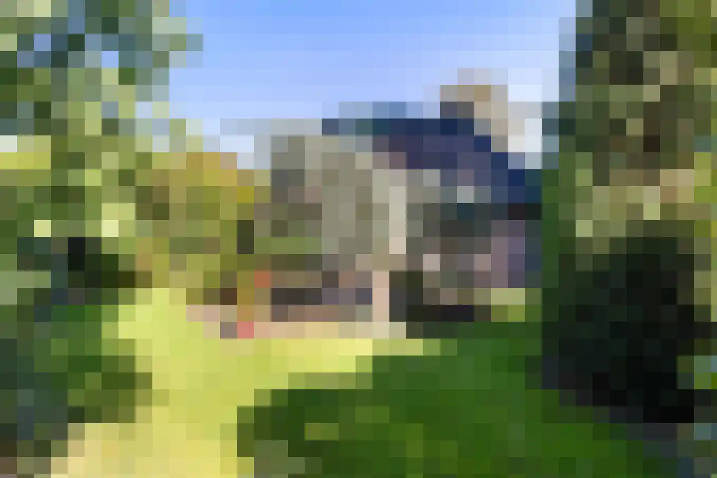 Steenhouwersdonk 137 Apeldoorn thumbnail 36