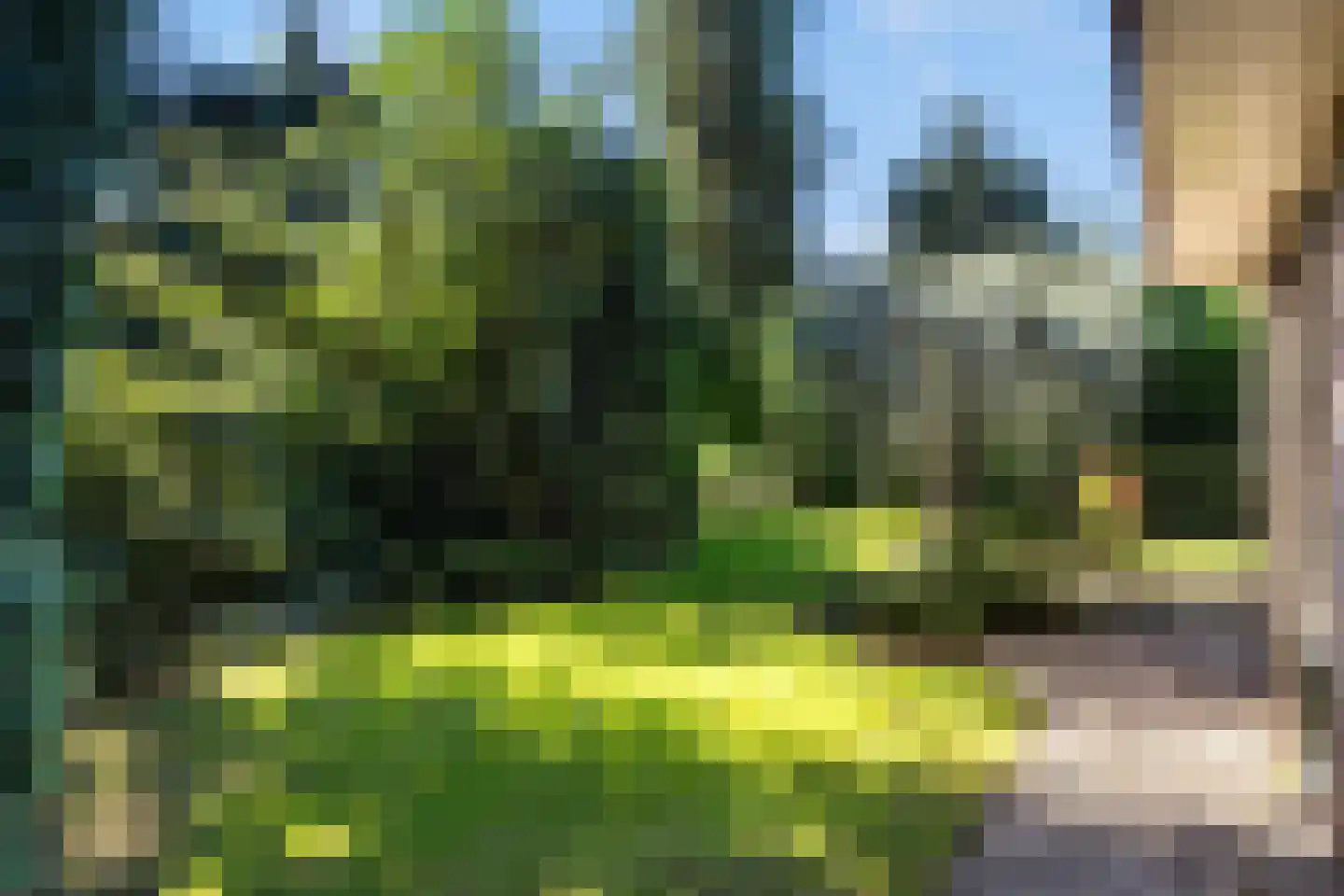 Steenhouwersdonk 137 Apeldoorn thumbnail 37