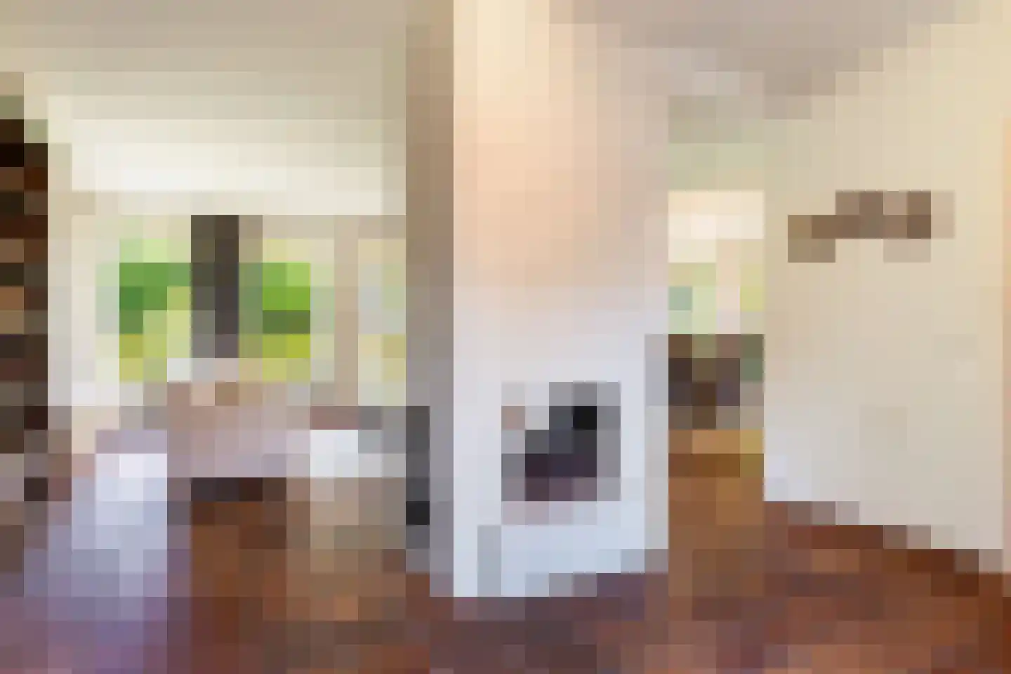 Steenhouwersdonk 137 Apeldoorn thumbnail 5