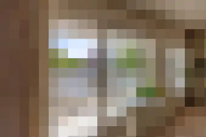 Steenhouwerskade 57 Groningen thumbnail 19