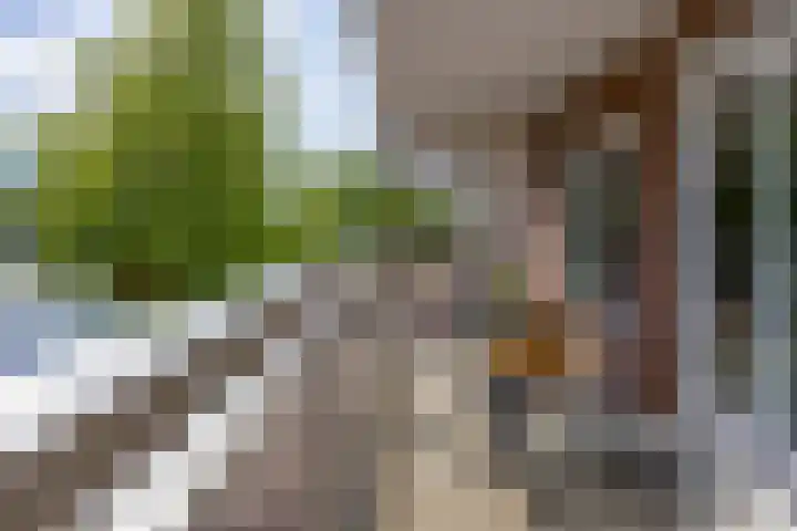 Steenhouwerskade 57 Groningen thumbnail 21