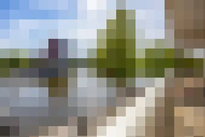 Steenhouwerskade 57 Groningen thumbnail 22