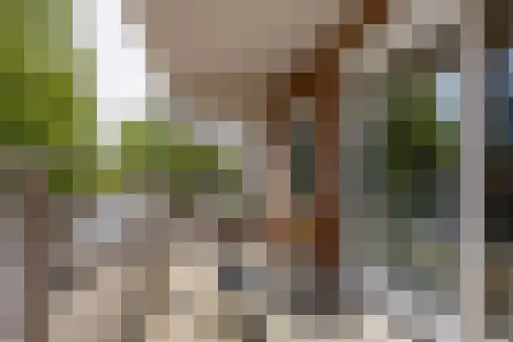 Steenhouwerskade 57 Groningen thumbnail 24