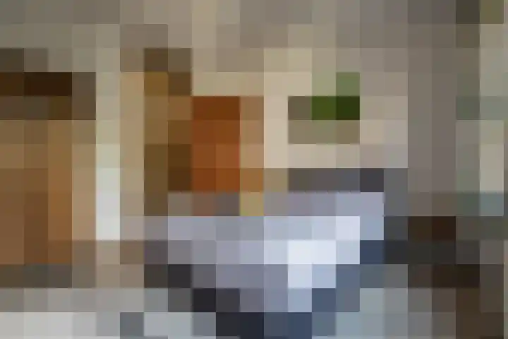 Steenhouwerskade 57 Groningen thumbnail 30