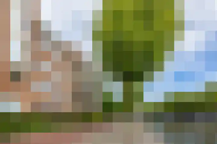 Steenhouwerskade 57 Groningen thumbnail 35