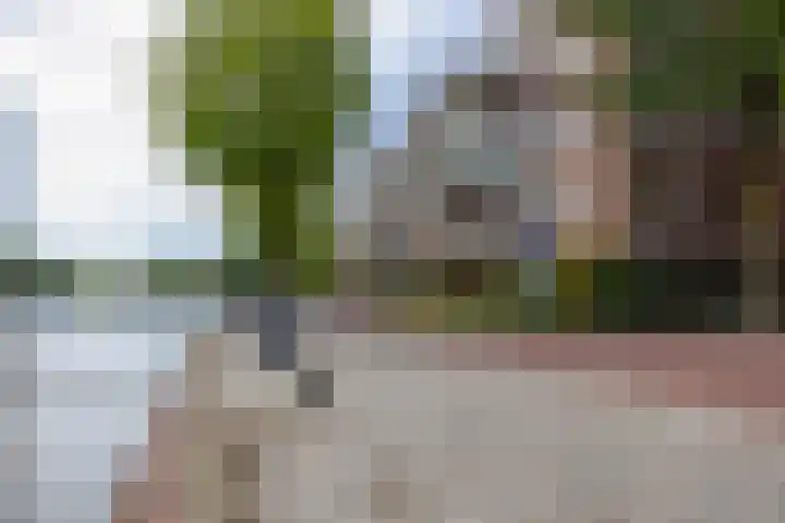 Steenhouwerskade 57 Groningen thumbnail 38
